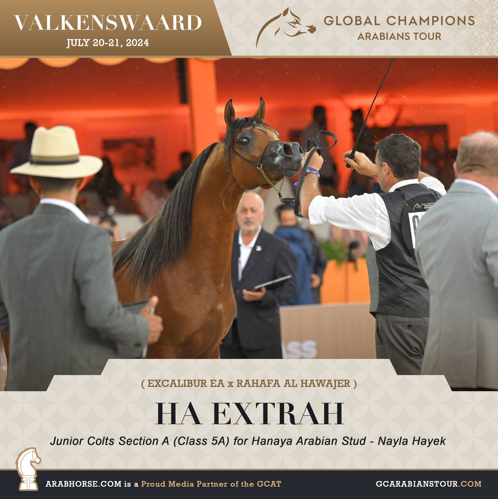 Photos of the Qualifying Classes Valkenswaard GCAT