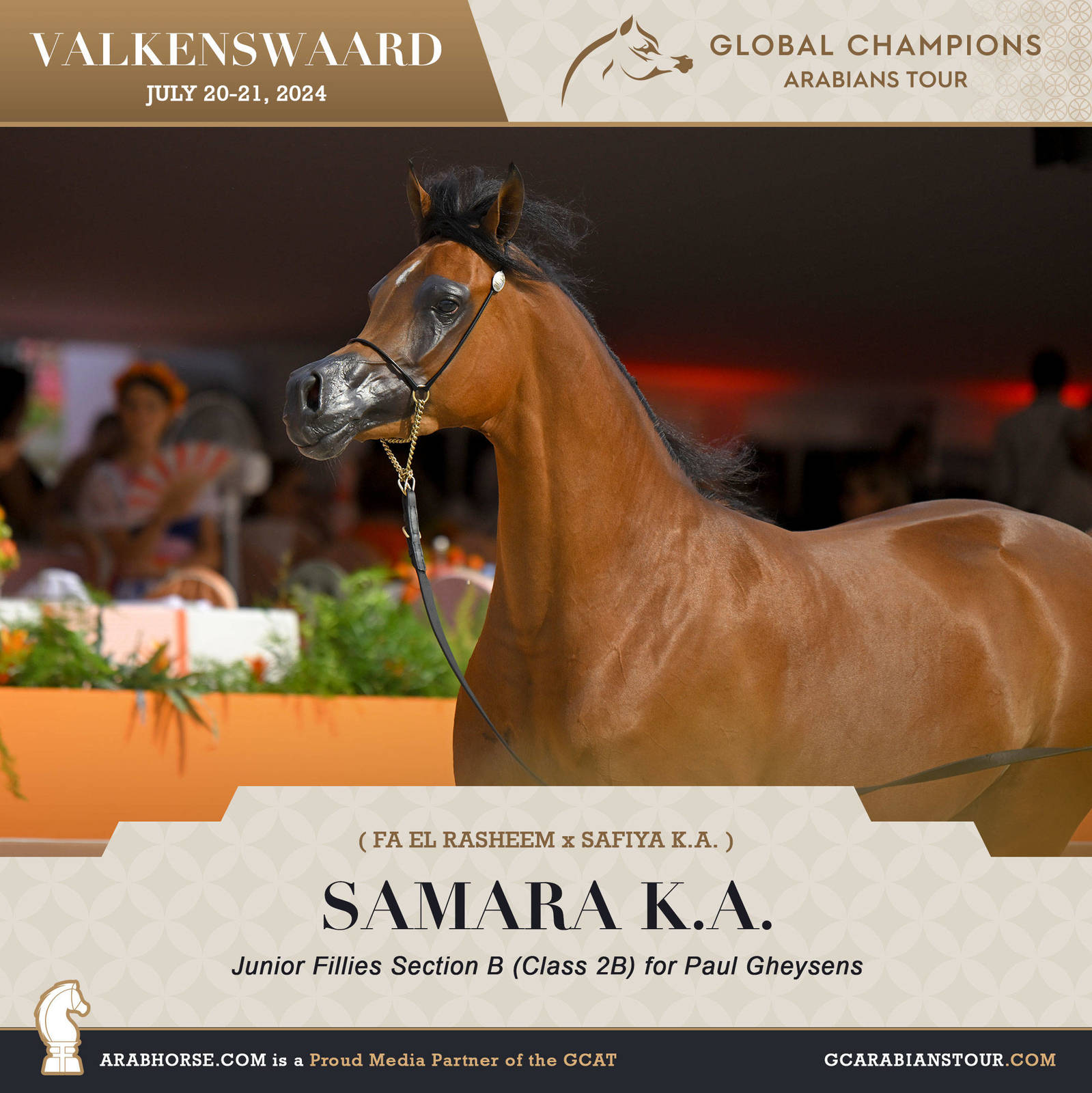 Photos of the Qualifying Classes Valkenswaard GCAT