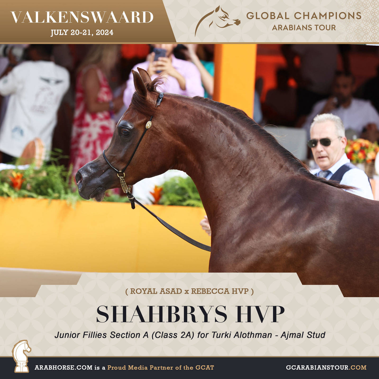 Photos of the Qualifying Classes Valkenswaard GCAT