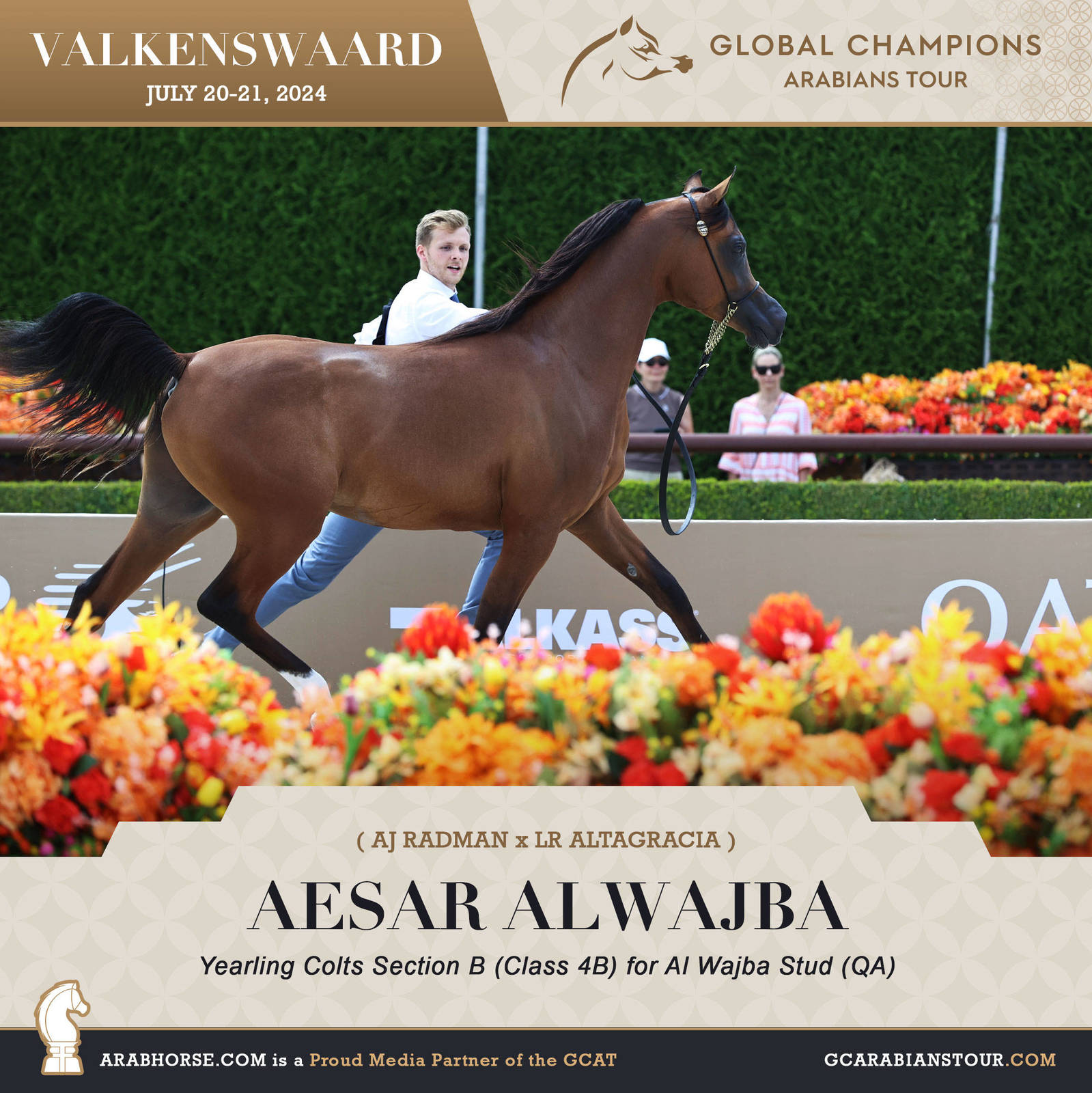 Photos of the Qualifying Classes Valkenswaard GCAT