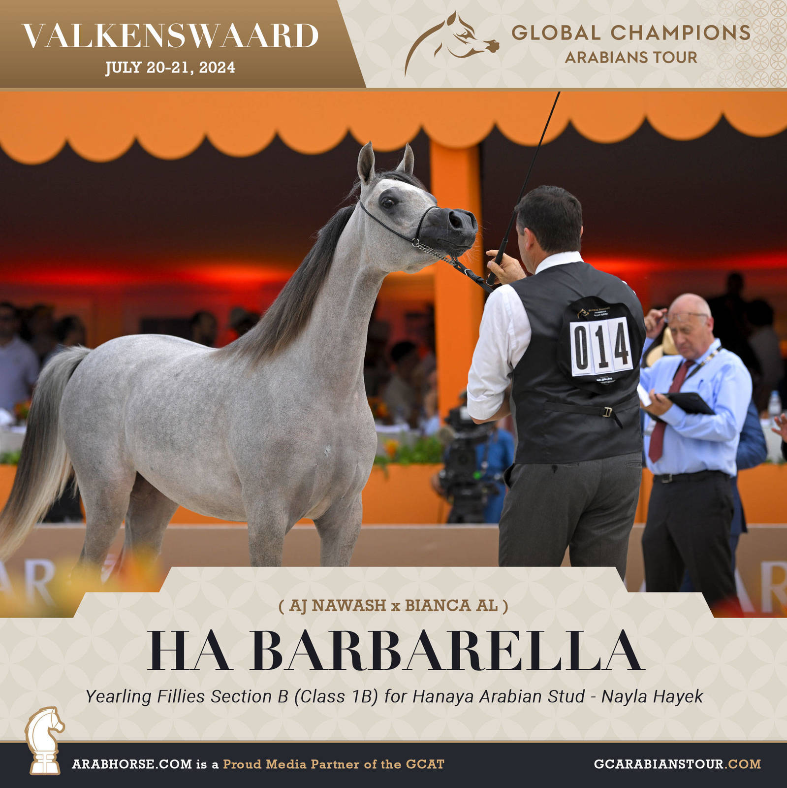 Photos of the Qualifying Classes Valkenswaard GCAT