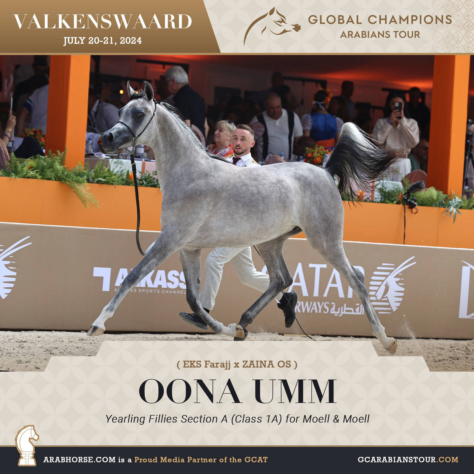 Photos of the Qualifying Classes Valkenswaard GCAT