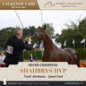 Photos of the Champions Valkenswaard GCAT