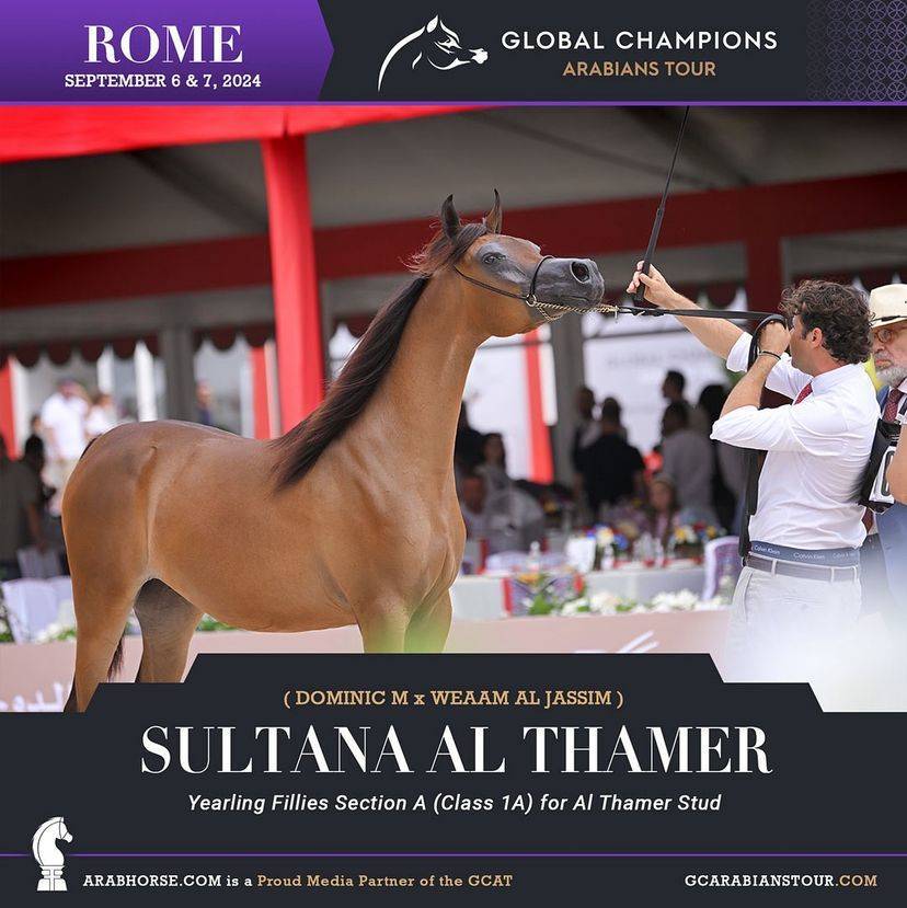 Photos of the Qualifying Classes Rome GCAT