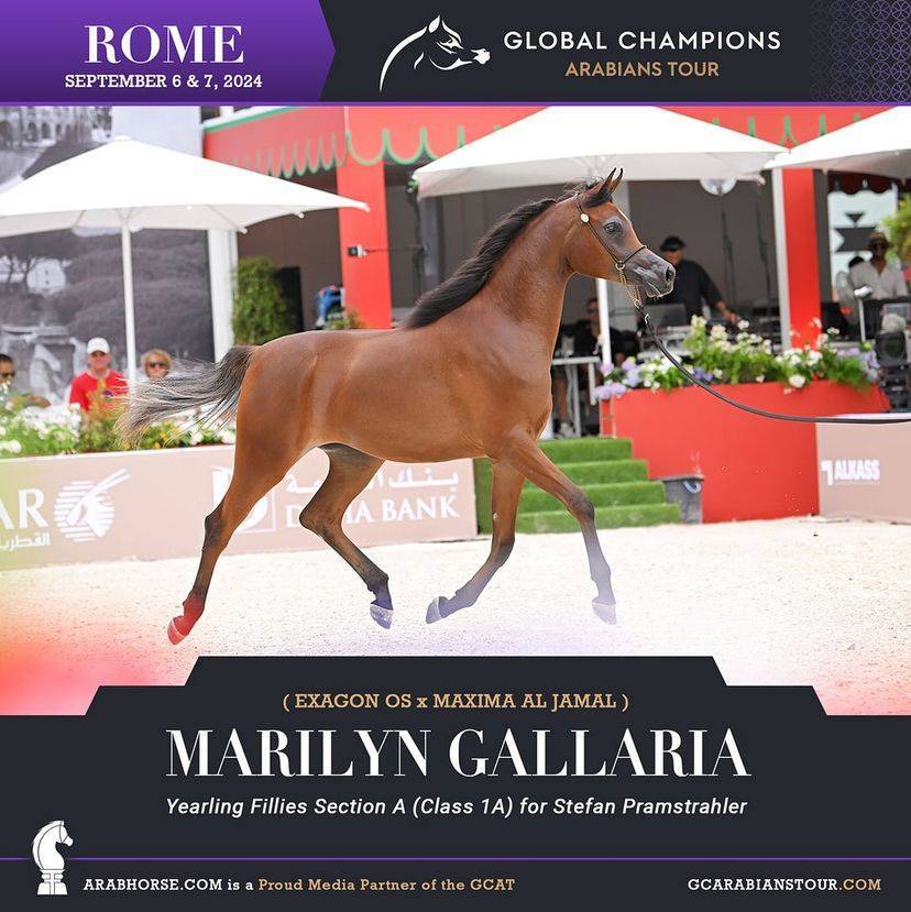 Photos of the Qualifying Classes Rome GCAT