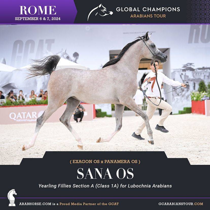 Photos of the Qualifying Classes Rome GCAT