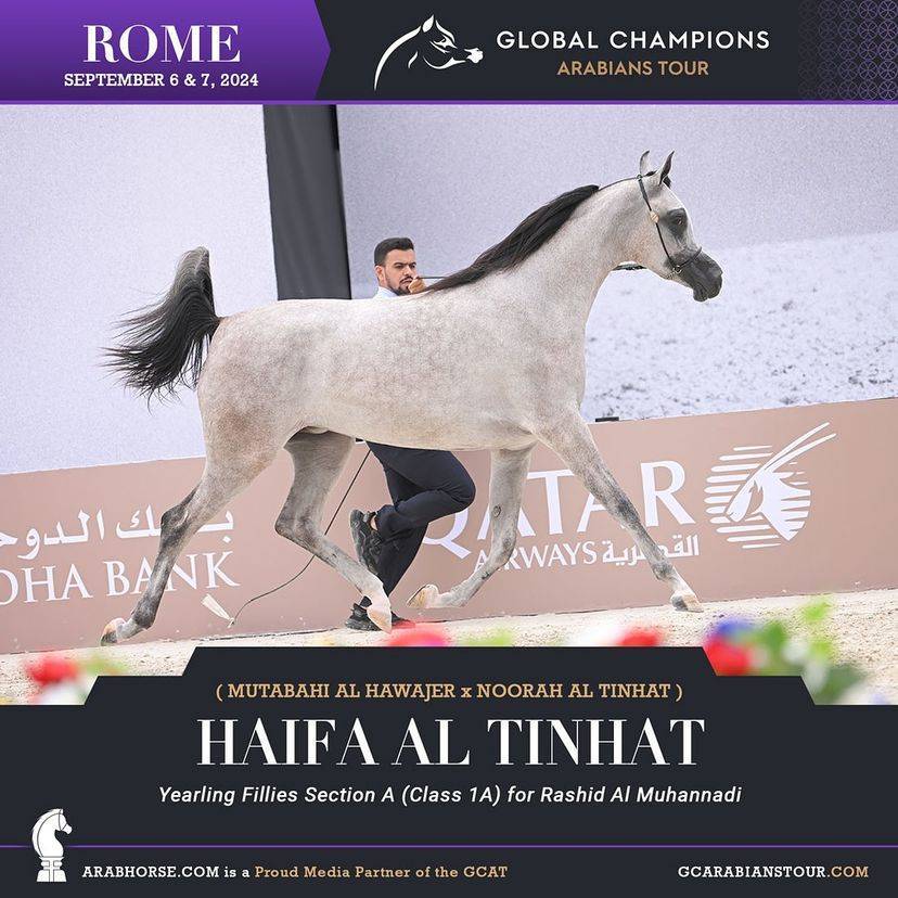 Photos of the Qualifying Classes Rome GCAT