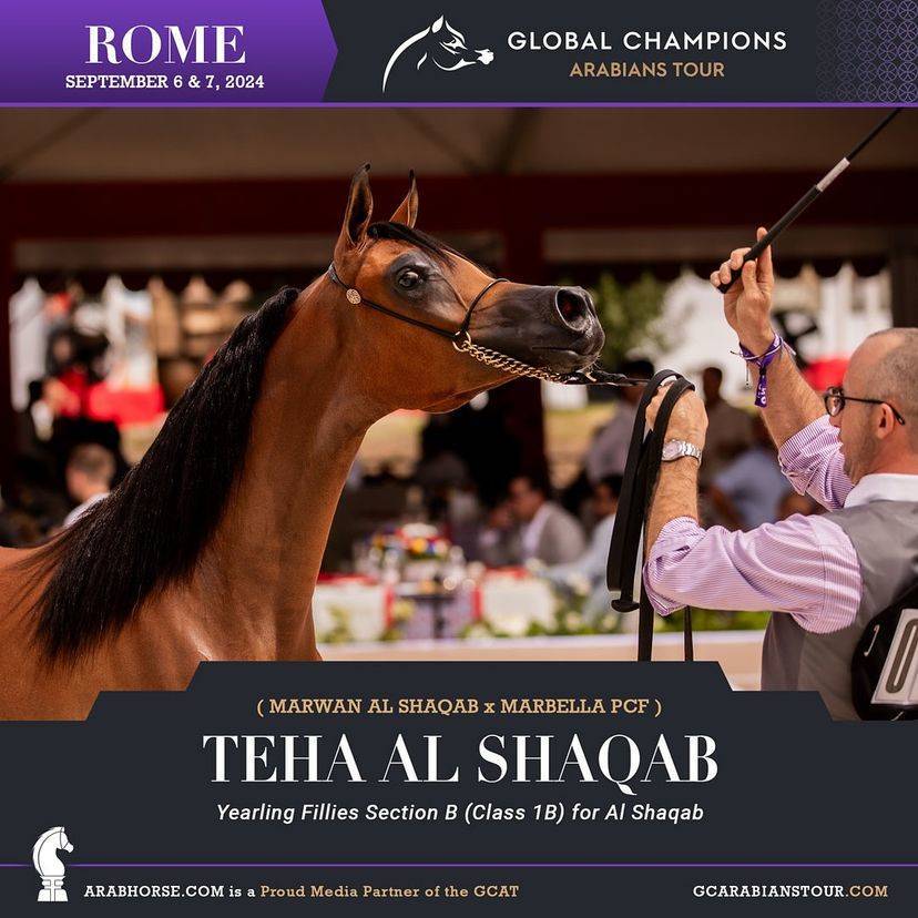 Photos of the Qualifying Classes Rome GCAT