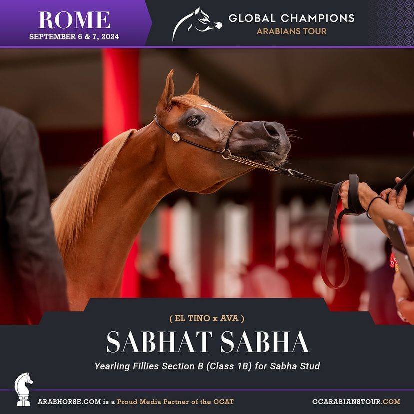 Photos of the Qualifying Classes Rome GCAT