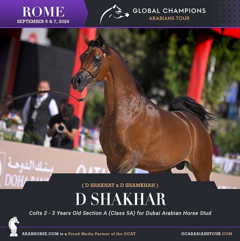 Photos of the Qualifying Classes Rome GCAT