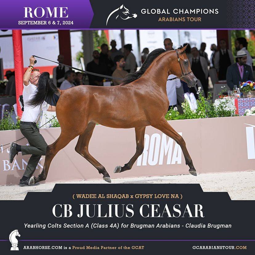 Photos of the Qualifying Classes Rome GCAT