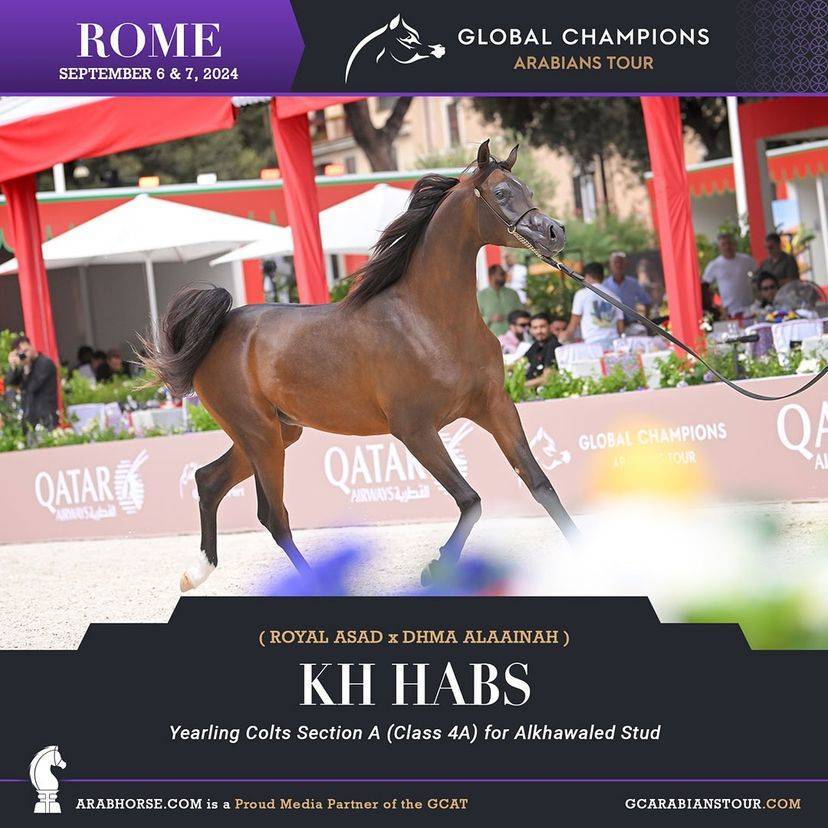 Photos of the Qualifying Classes Rome GCAT