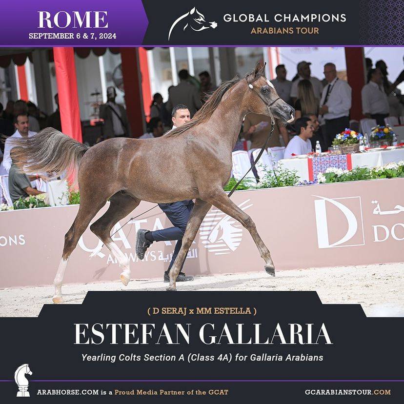 Photos of the Qualifying Classes Rome GCAT