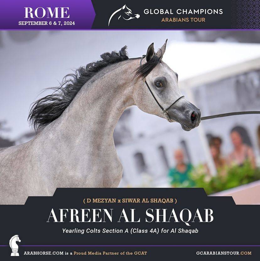 Photos of the Qualifying Classes Rome GCAT