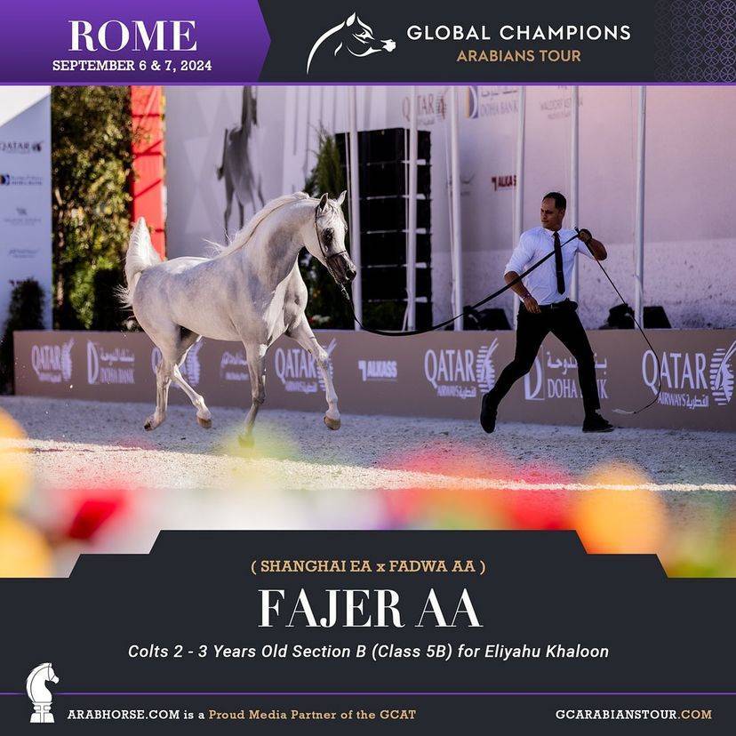 Photos of the Qualifying Classes Rome GCAT