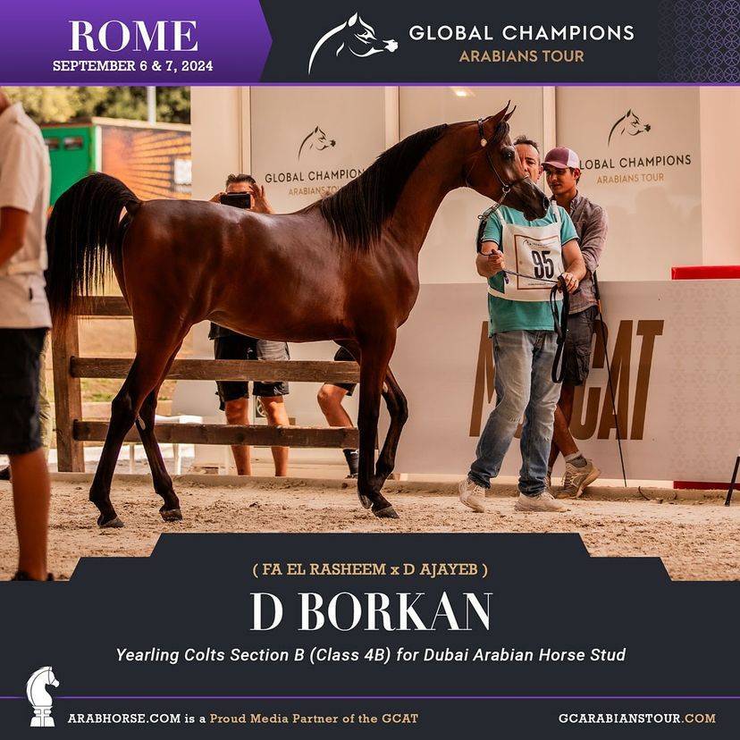 Photos of the Qualifying Classes Rome GCAT