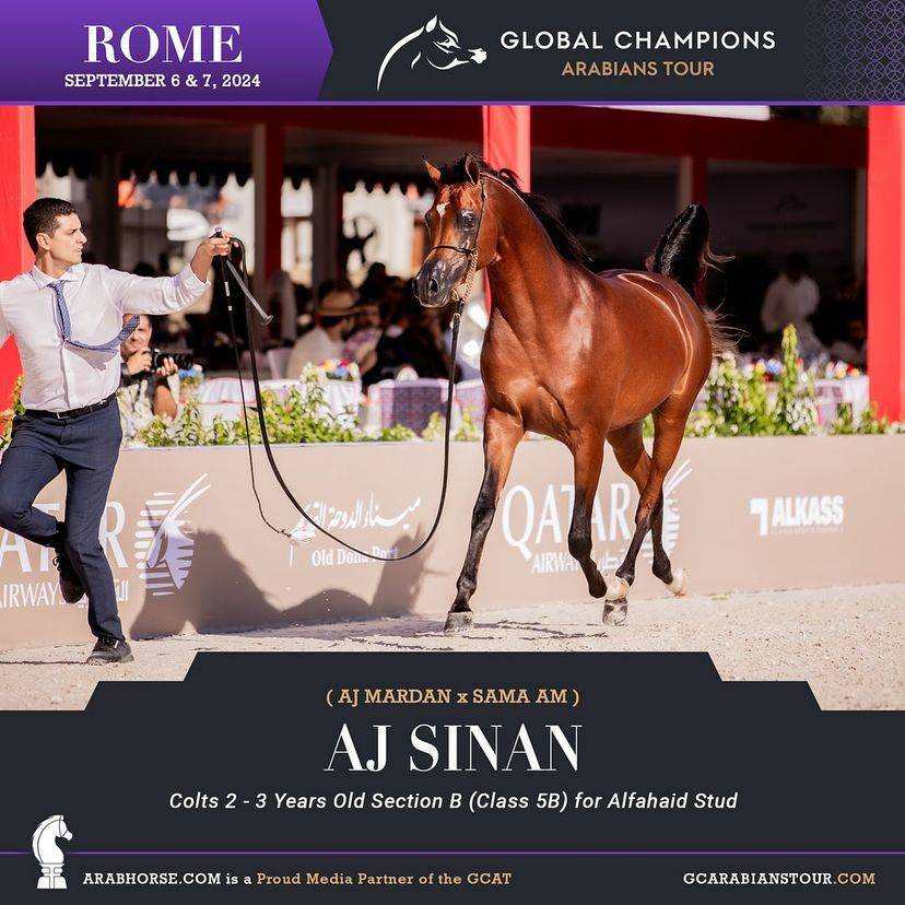 Photos of the Qualifying Classes Rome GCAT