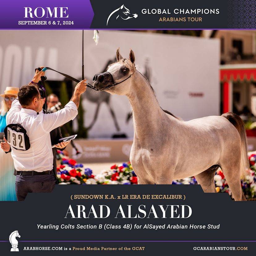 Photos of the Qualifying Classes Rome GCAT