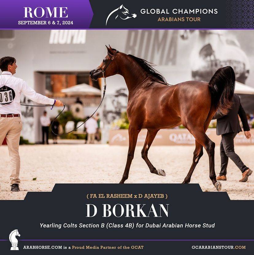 Photos of the Qualifying Classes Rome GCAT