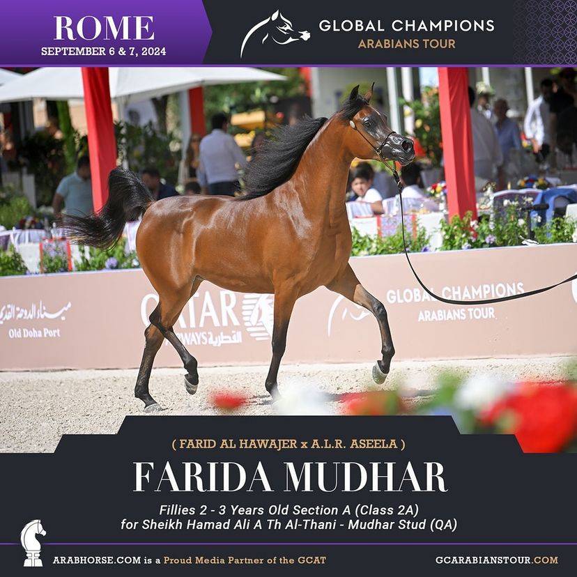 Photos of the Qualifying Classes Rome GCAT