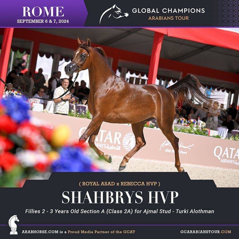 Photos of the Qualifying Classes Rome GCAT