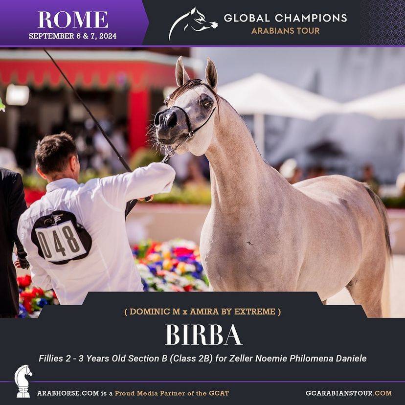 Photos of the Qualifying Classes Rome GCAT