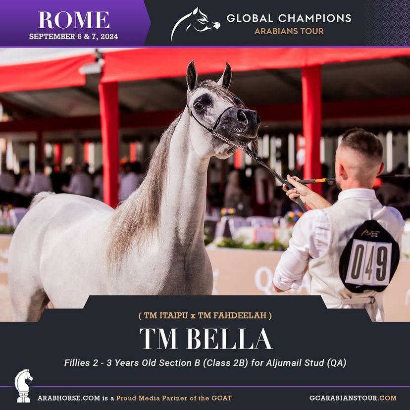 Photos of the Qualifying Classes Rome GCAT