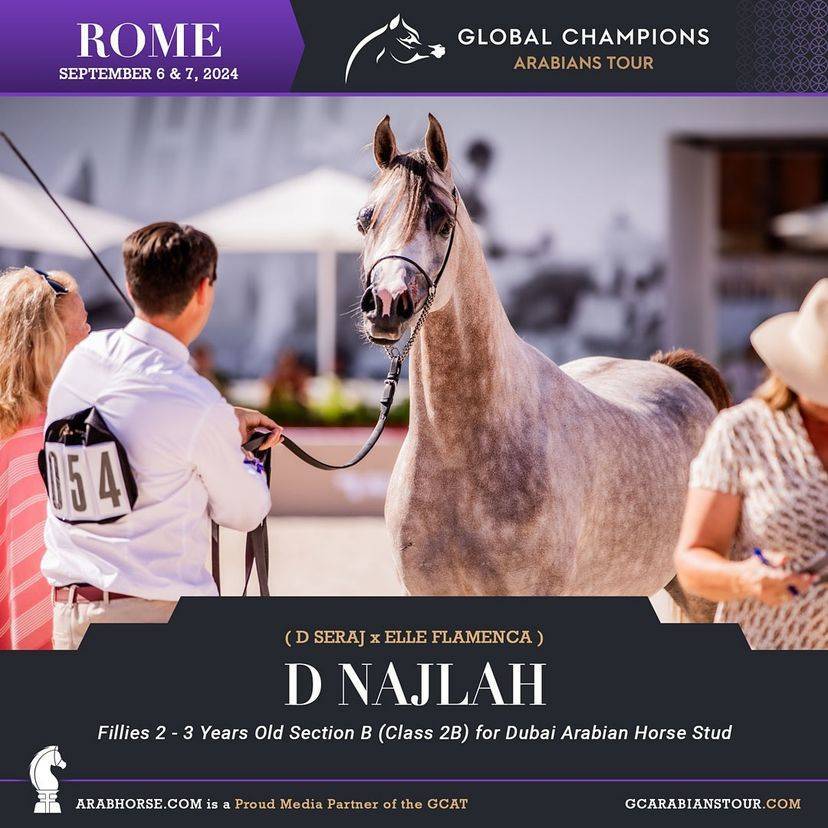 Photos of the Qualifying Classes Rome GCAT