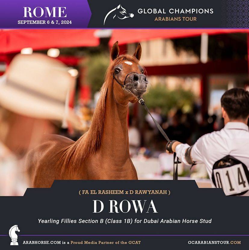 Photos of the Qualifying Classes Rome GCAT