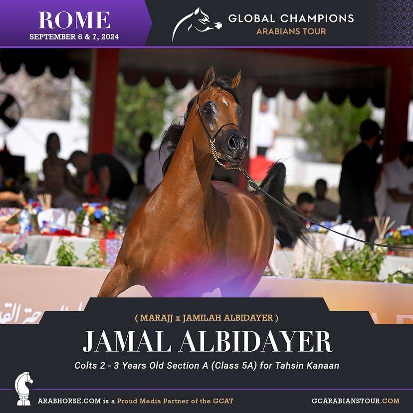 Photos of the Qualifying Classes Rome GCAT