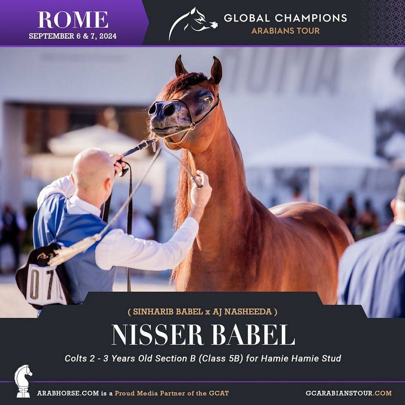 Photos of the Qualifying Classes Rome GCAT