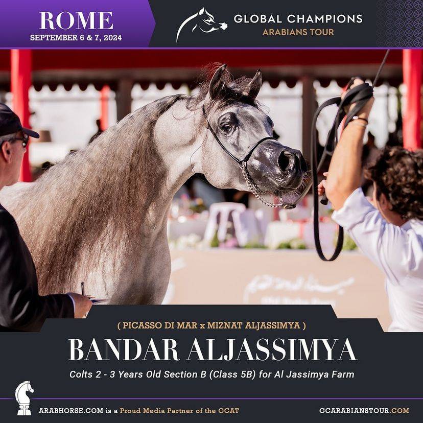 Photos of the Qualifying Classes Rome GCAT