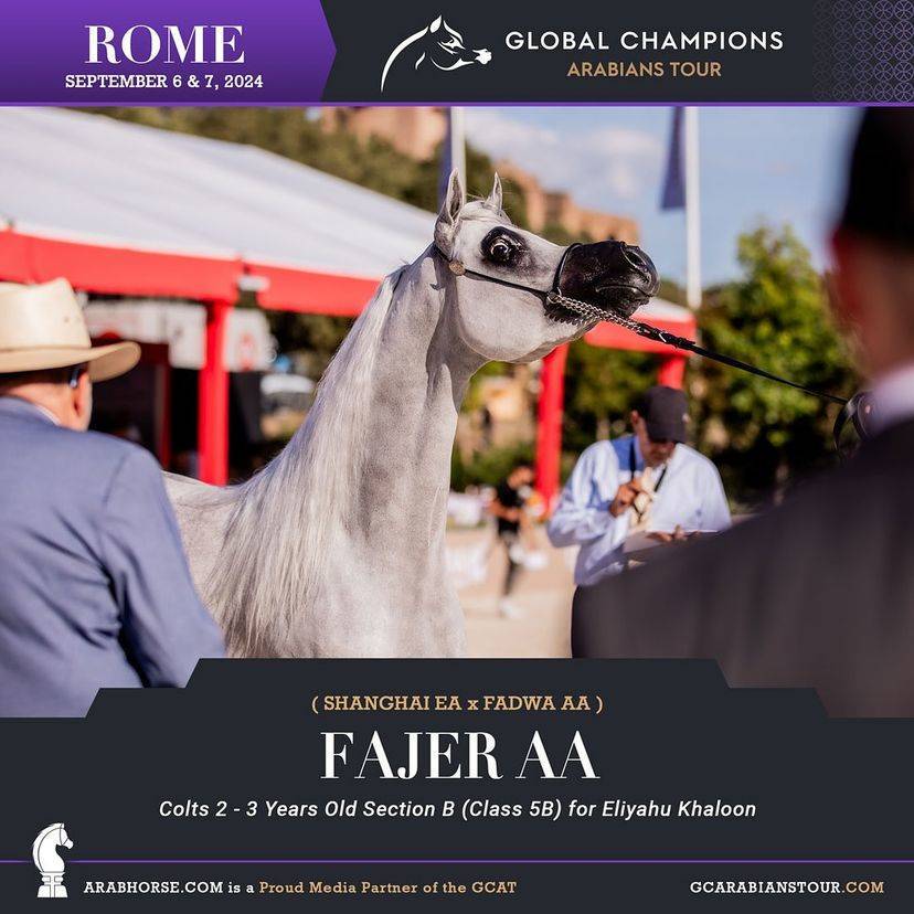 Photos of the Qualifying Classes Rome GCAT