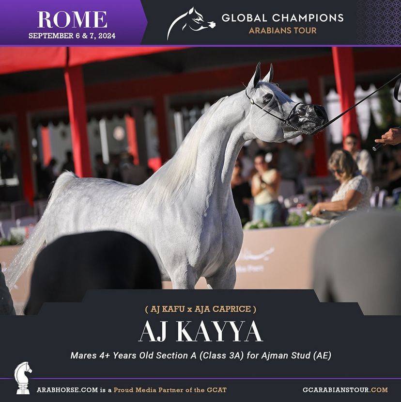 Photos of the Qualifying Classes Rome GCAT