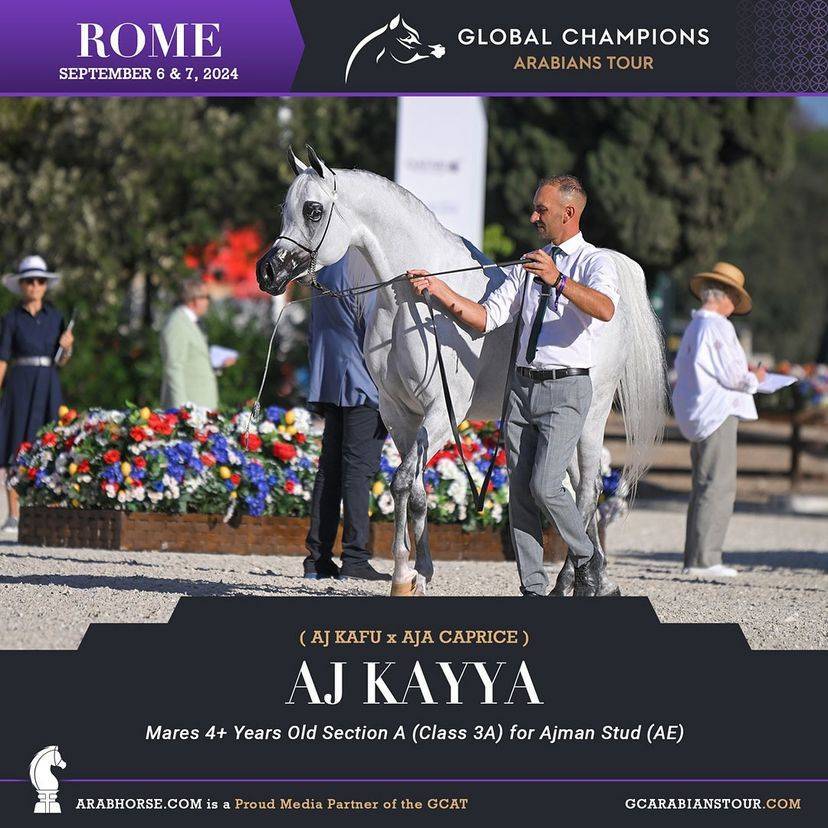 Photos of the Qualifying Classes Rome GCAT