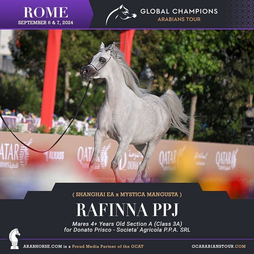 Photos of the Qualifying Classes Rome GCAT