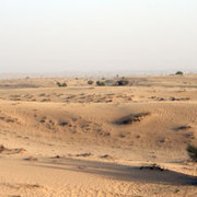 desert5.jpg