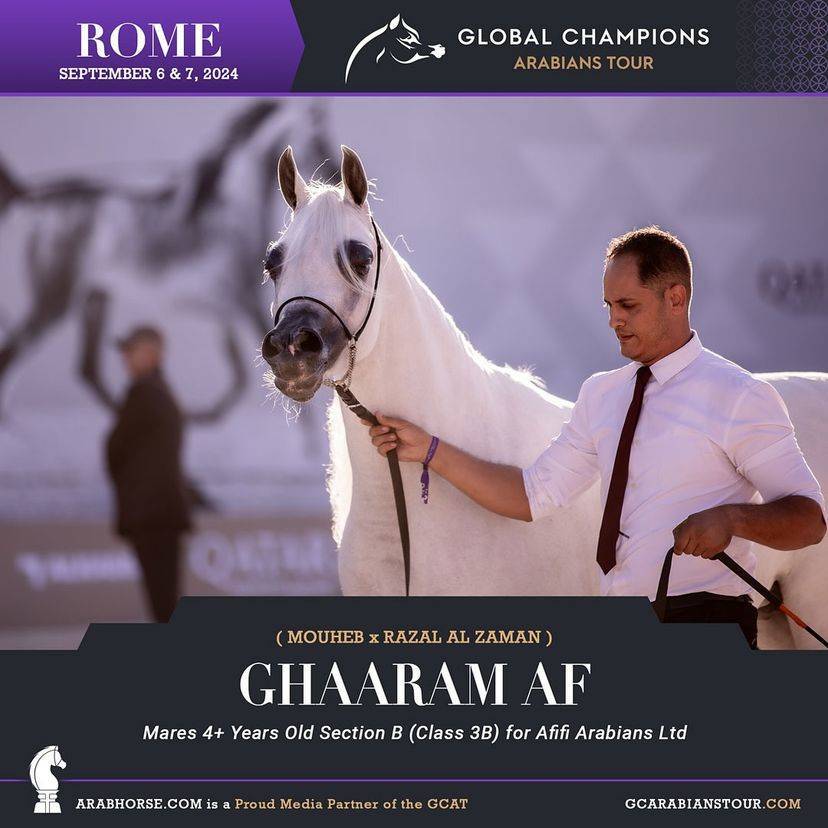 Photos of the Qualifying Classes Rome GCAT