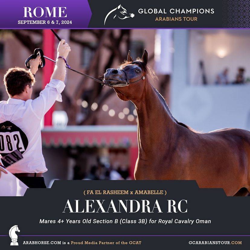 Photos of the Qualifying Classes Rome GCAT