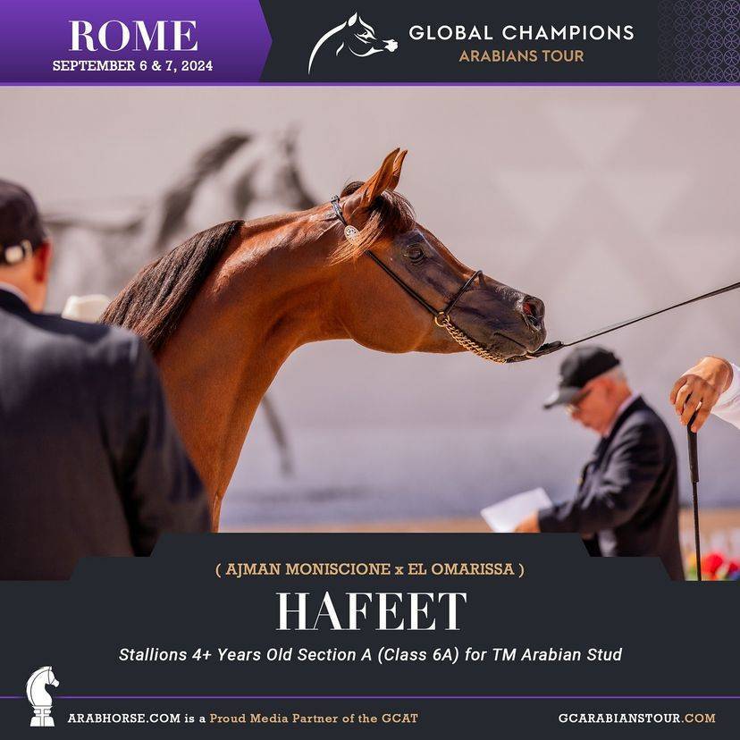 Photos of the Qualifying Classes Rome GCAT