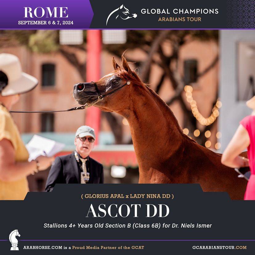 Photos of the Qualifying Classes Rome GCAT