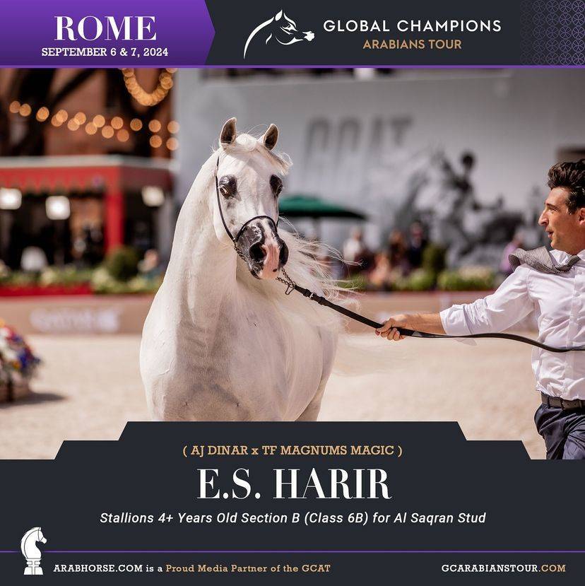 Photos of the Qualifying Classes Rome GCAT