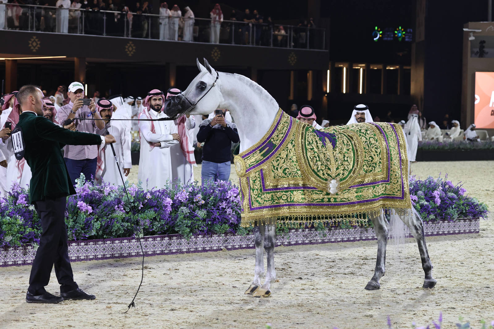 AJ Kayya Crowned ‘Horse of the Tour’ at Global Champions Arabians Tour Finale