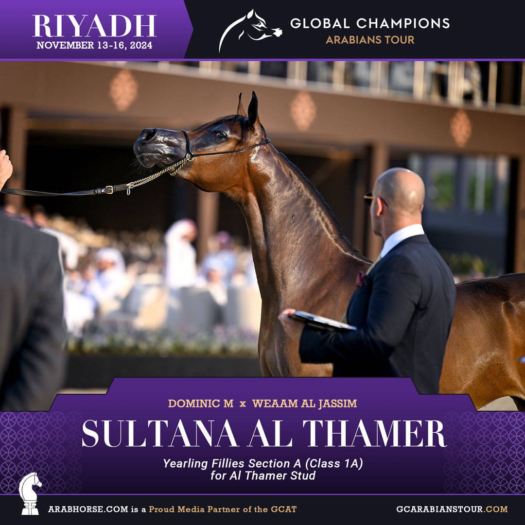 DAY 1: A SPECTACULAR START TO THE GCAT RIYADH FINALE