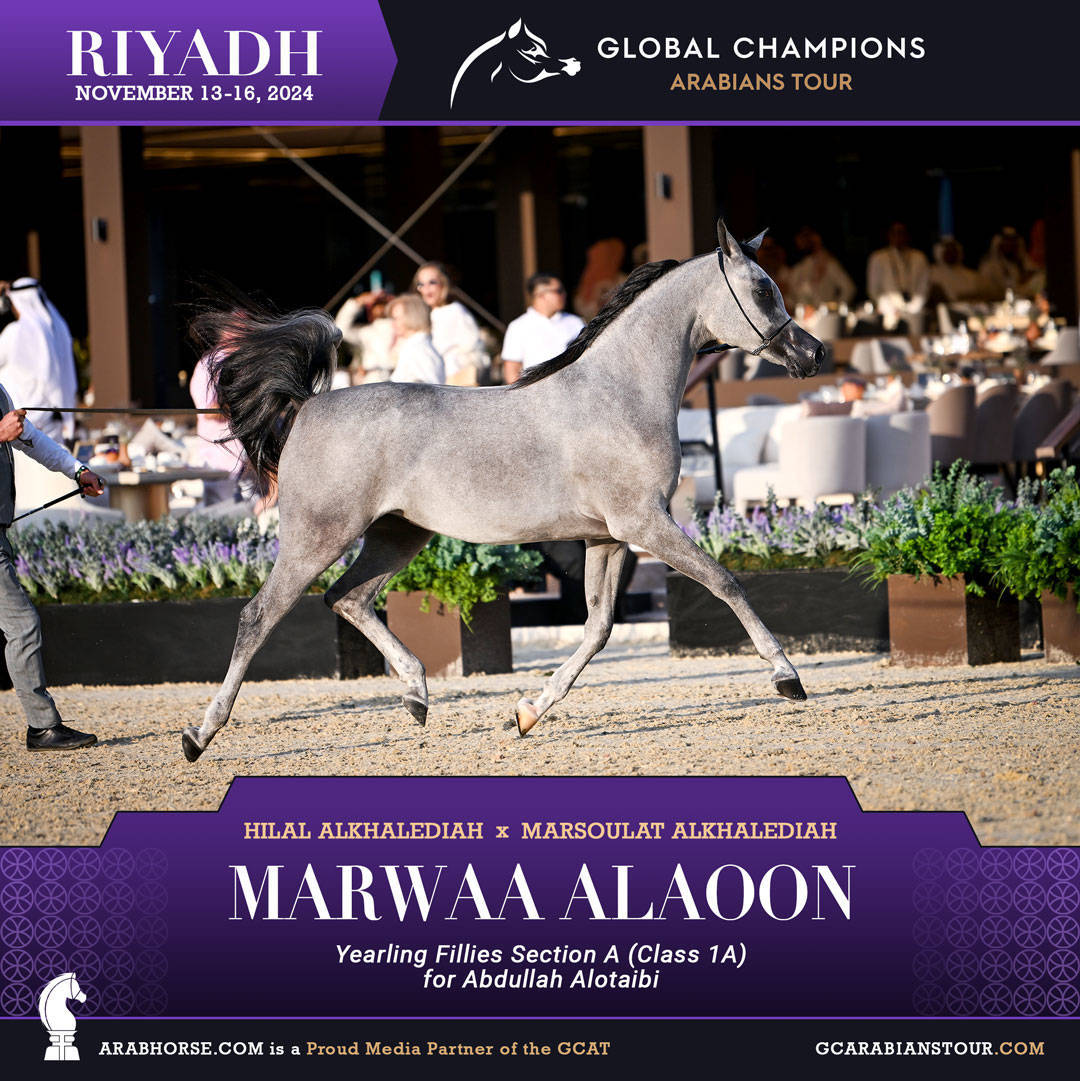 DAY 1: A SPECTACULAR START TO THE GCAT RIYADH FINALE