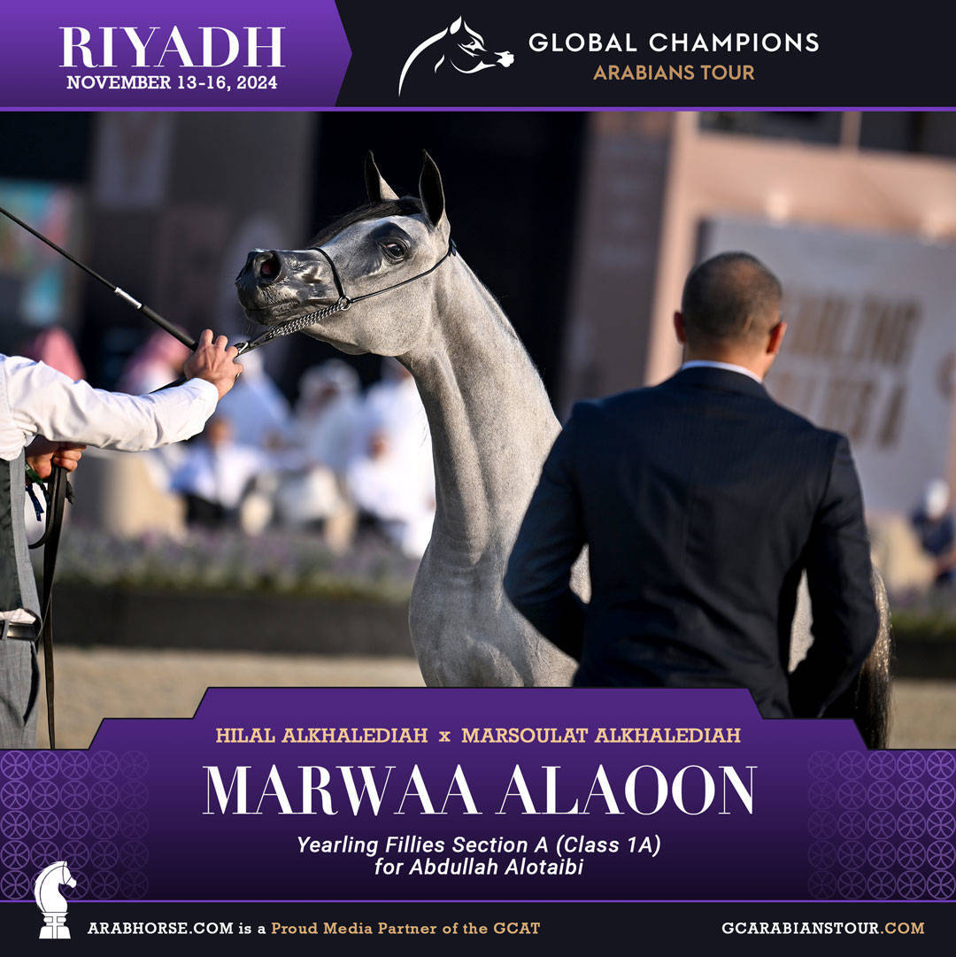 DAY 1: A SPECTACULAR START TO THE GCAT RIYADH FINALE