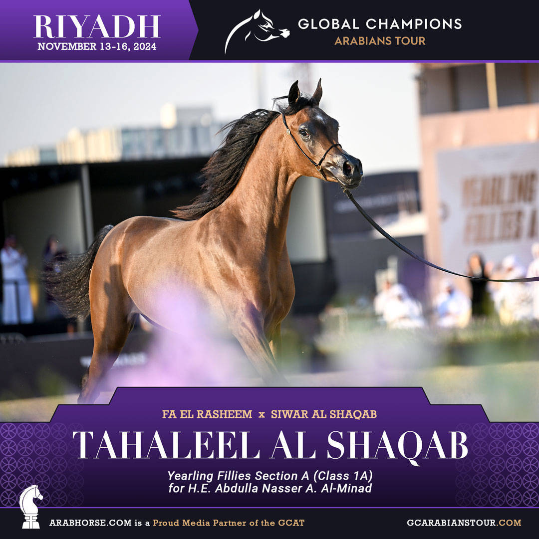 DAY 1: A SPECTACULAR START TO THE GCAT RIYADH FINALE