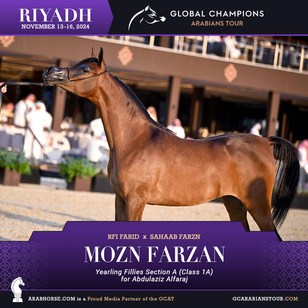 DAY 1: A SPECTACULAR START TO THE GCAT RIYADH FINALE