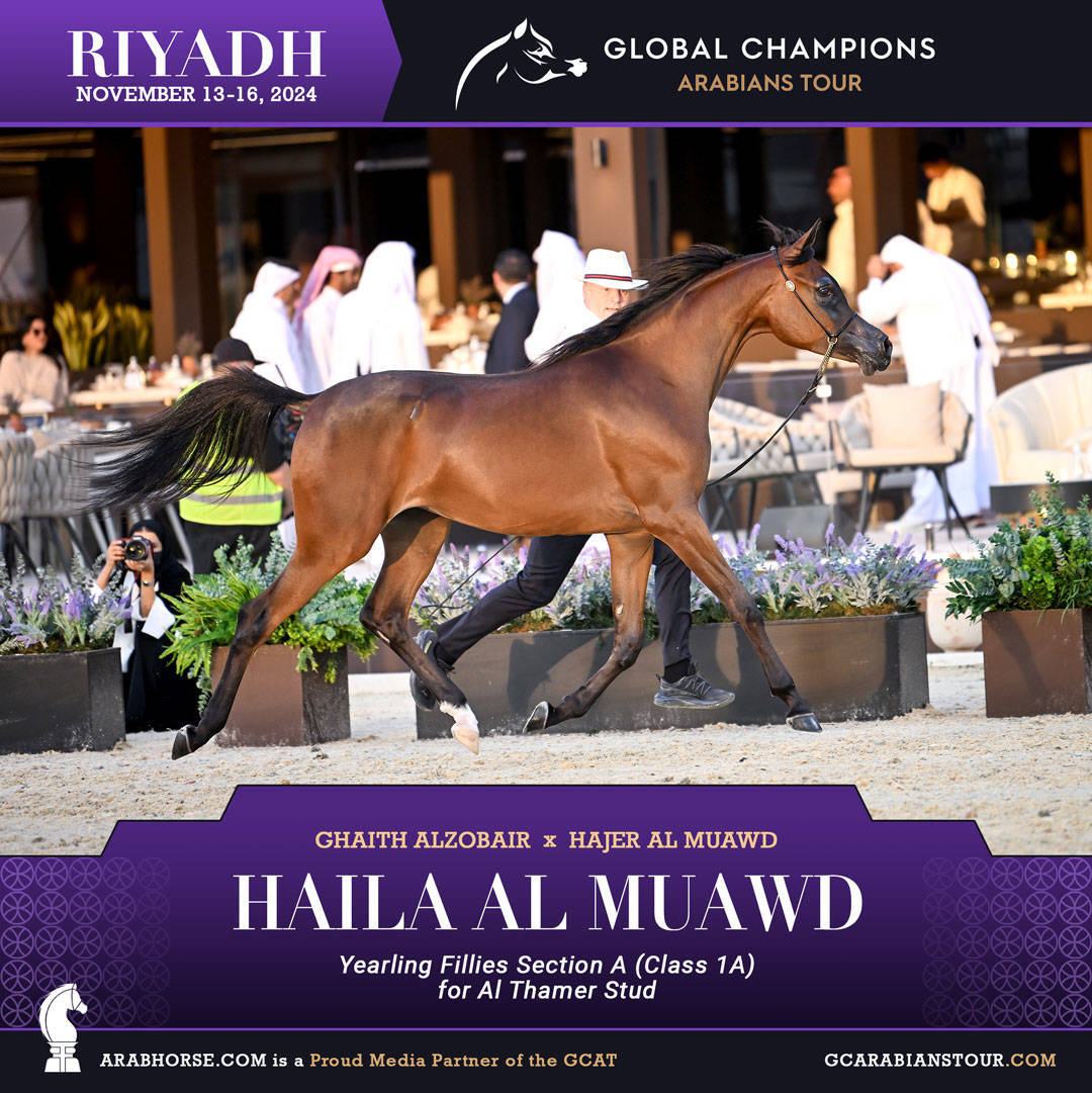 DAY 1: A SPECTACULAR START TO THE GCAT RIYADH FINALE