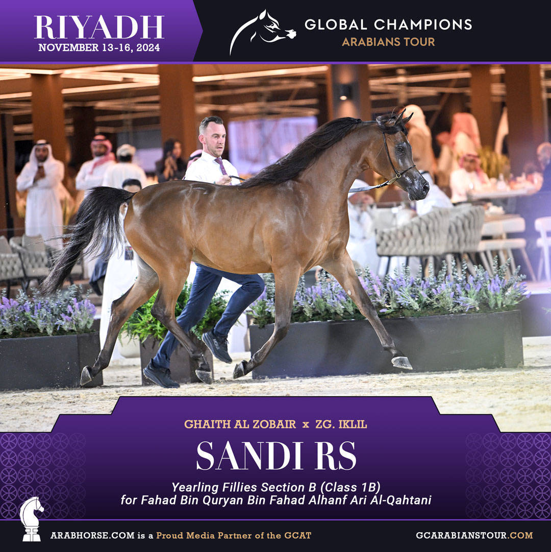 DAY 1: A SPECTACULAR START TO THE GCAT RIYADH FINALE